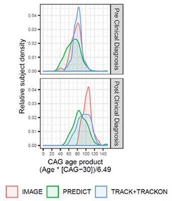 Frontiers Volumetric MRI Based Biomarkers in Huntington s